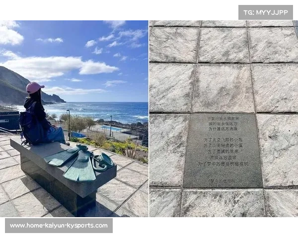 西班牙加那利群岛火山熔岩打造永不磨损曲棍球场引领创新设计潮流 西班牙加那利群岛火山熔岩打造永不磨损曲棍球场引领创新设计潮流